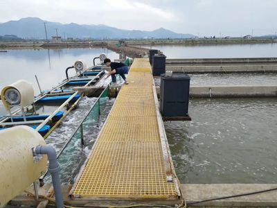 宁海:破解养殖"尾水"难题 推动现代海水养殖业可持续发展