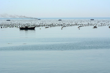 海产养殖渔船