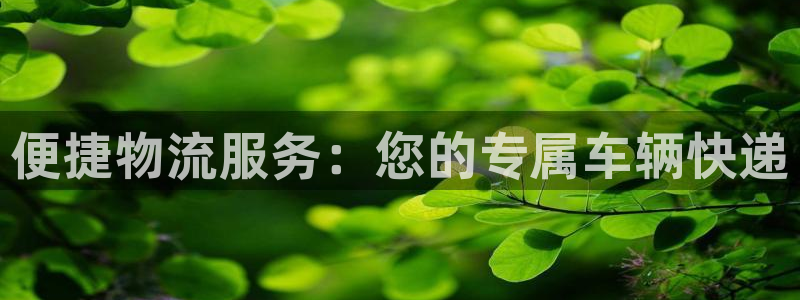 多多28游戏官网版：便捷物流服务：您
