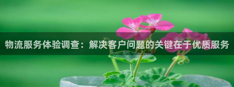 多多28登录：物流服务体验调查：解决
