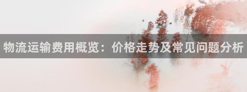 多多28官网下载加拿大：物流运输费用