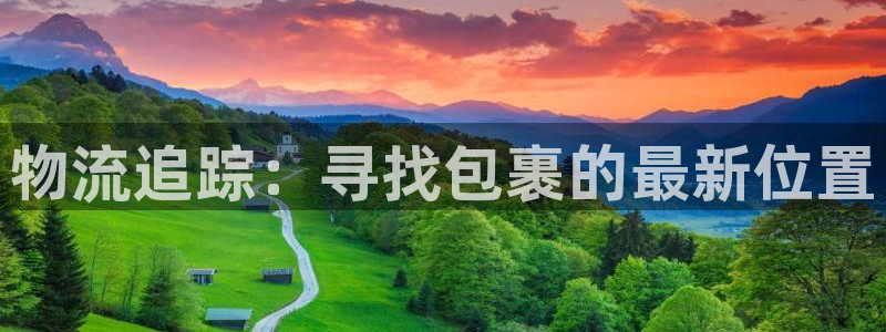 多多28注册链接教程：物流追踪：寻找