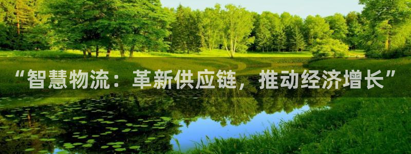 多多28注册号：“智慧物流：革新供应