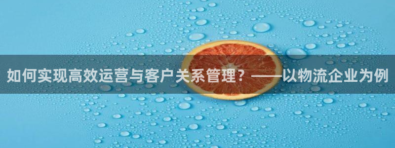 多多28技巧：如何实现高效运营与客户