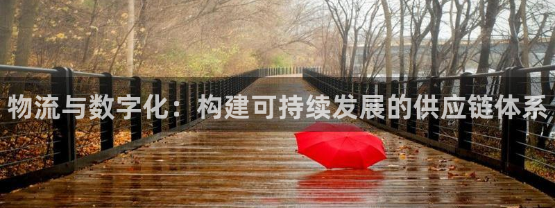 多多28是什么软件：物流与数字化：构