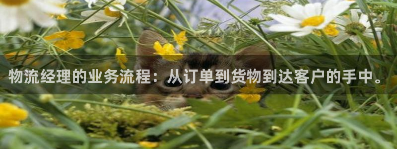 多多28官网入口o：物流经理的业务流