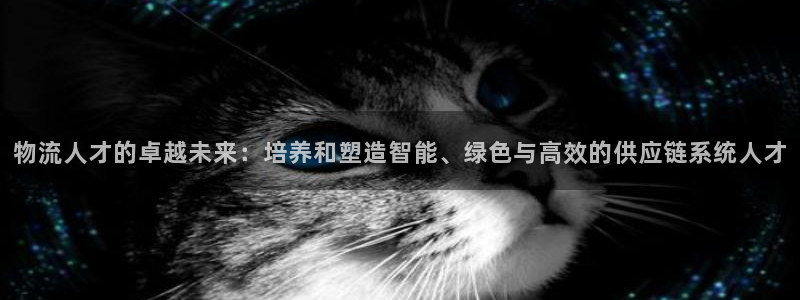 多多28哪个最赚钱
