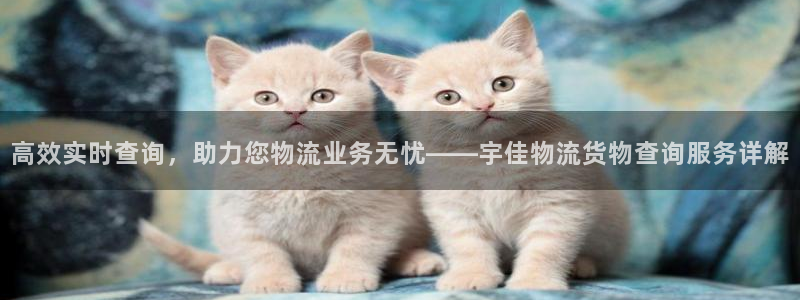 多多28注册教程：高效实时查询，助力