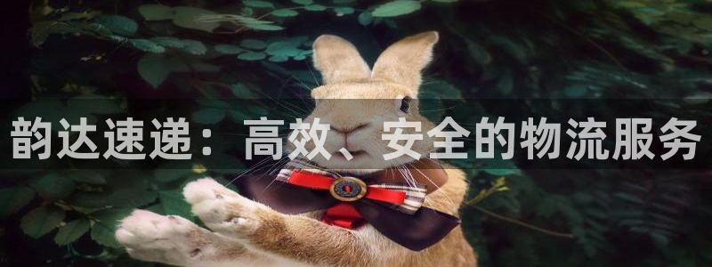 多多28为什么打不开：韵达速递：高效