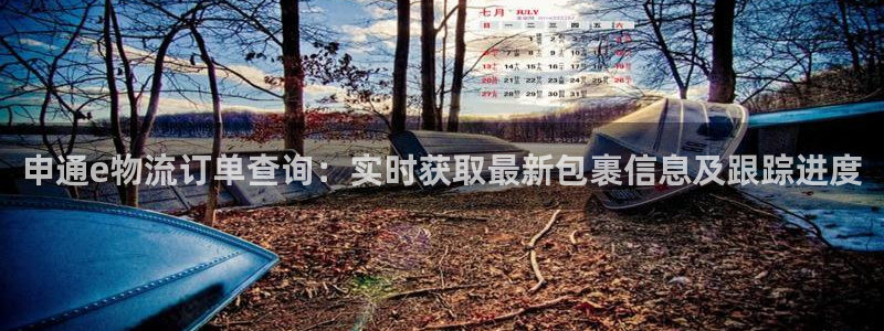 多多28登录用户名登录不上：申通e物
