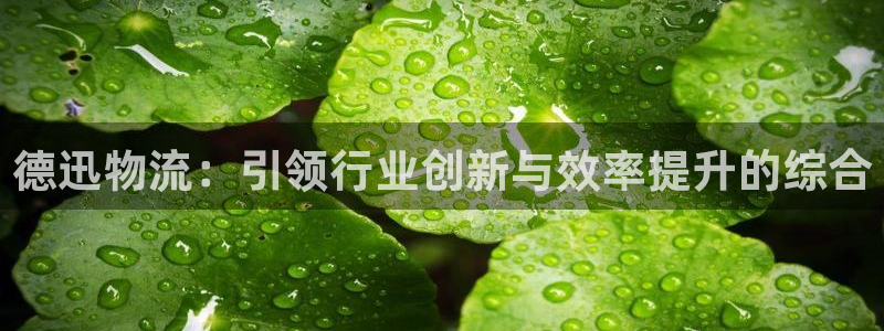 多多28提款一直没到：德迅物流：引领行业创新与效率提升的综合