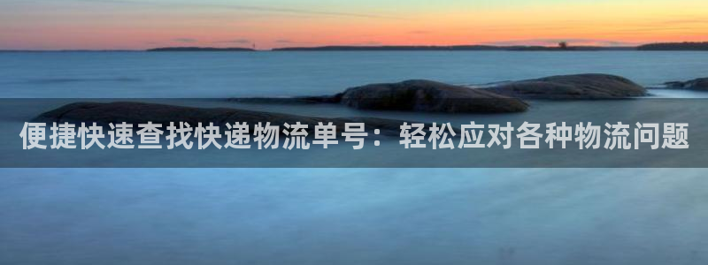 多多28网站平台：便捷快速查找快递物