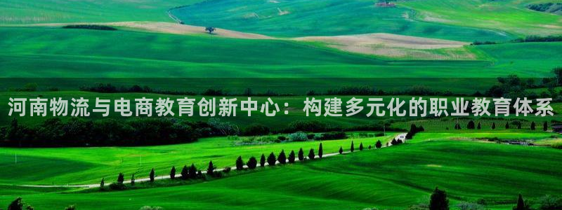 多多28是什么软件：河南物流与电商教