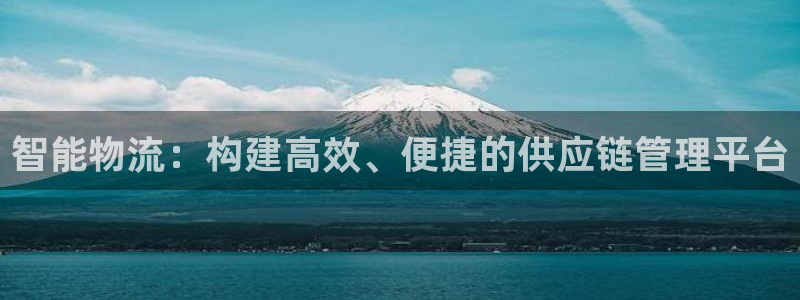 多多28注册官网:智能物流:构建高效