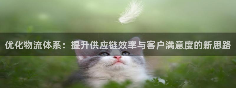 多多28口内径是多大