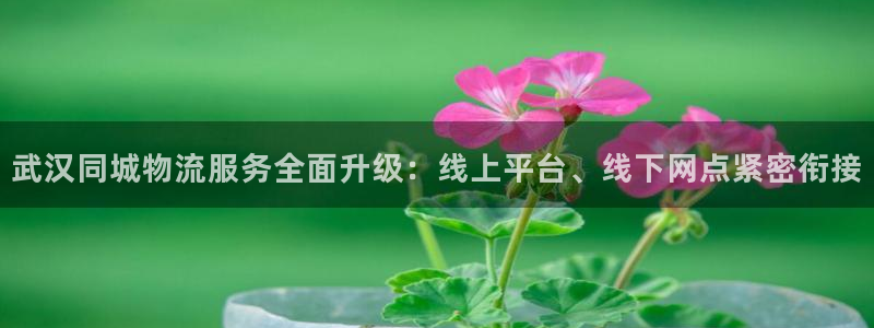 多多28官网入口官网：武汉同城物流服