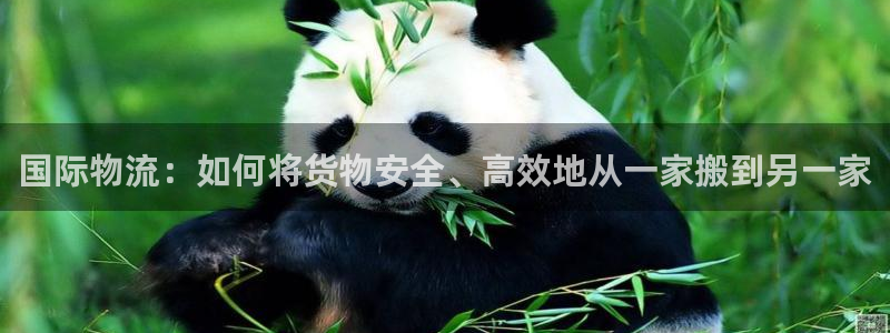 多多28提现未达5期是什么意思：国际