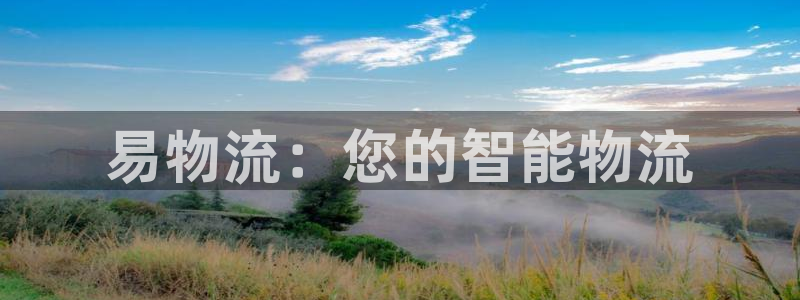 多多28官网入口o：易物流：您的智能
