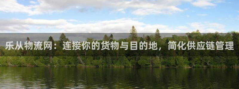 多多28图片：乐从物流网：连接你的货物与目的地，简化供应链管