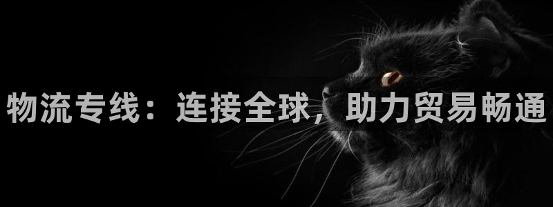 多多28注册步骤