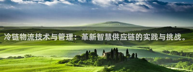 多多28官网下载多少钱：冷链物流技术与管理：革新智慧供应链的