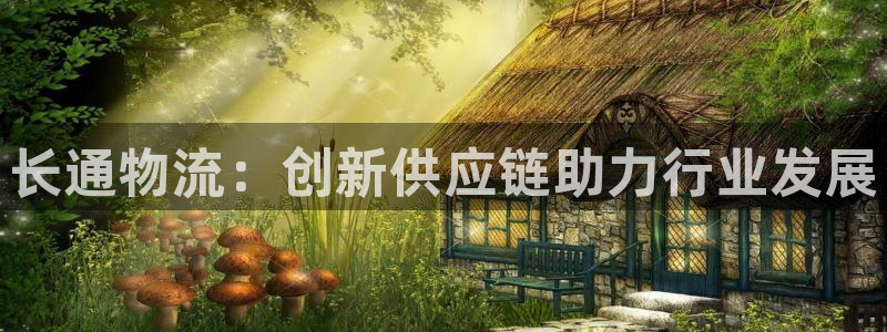 多多28官网入口南宫：长通物流：创新供应链助力行业发展