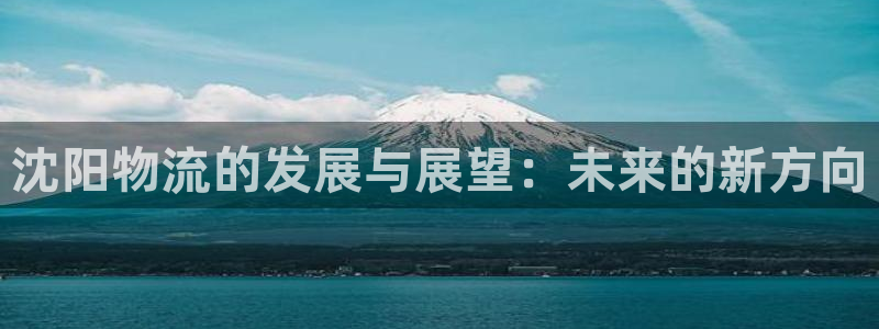 多多28辅助：沈阳物流的发展与展望：未来的新方向