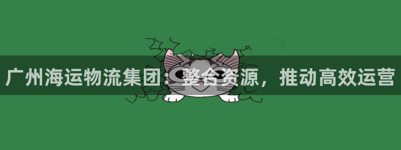多多28能提现吗：广州海运物流集团：整合资源，推动高效运营